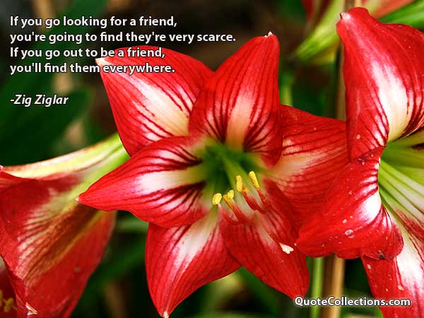 Zig Ziglar Quotes2